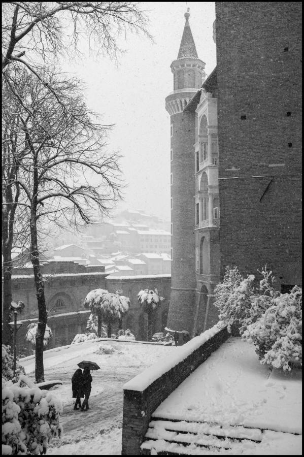 B&B Pellipario Urbino Bagian luar foto